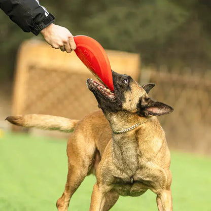 Flexi-Fly Rubber Dog Frisbee