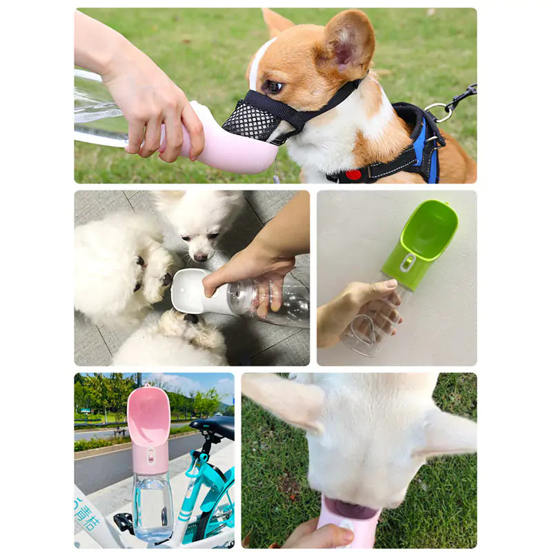 WanderPaws Water Bottle Feeder